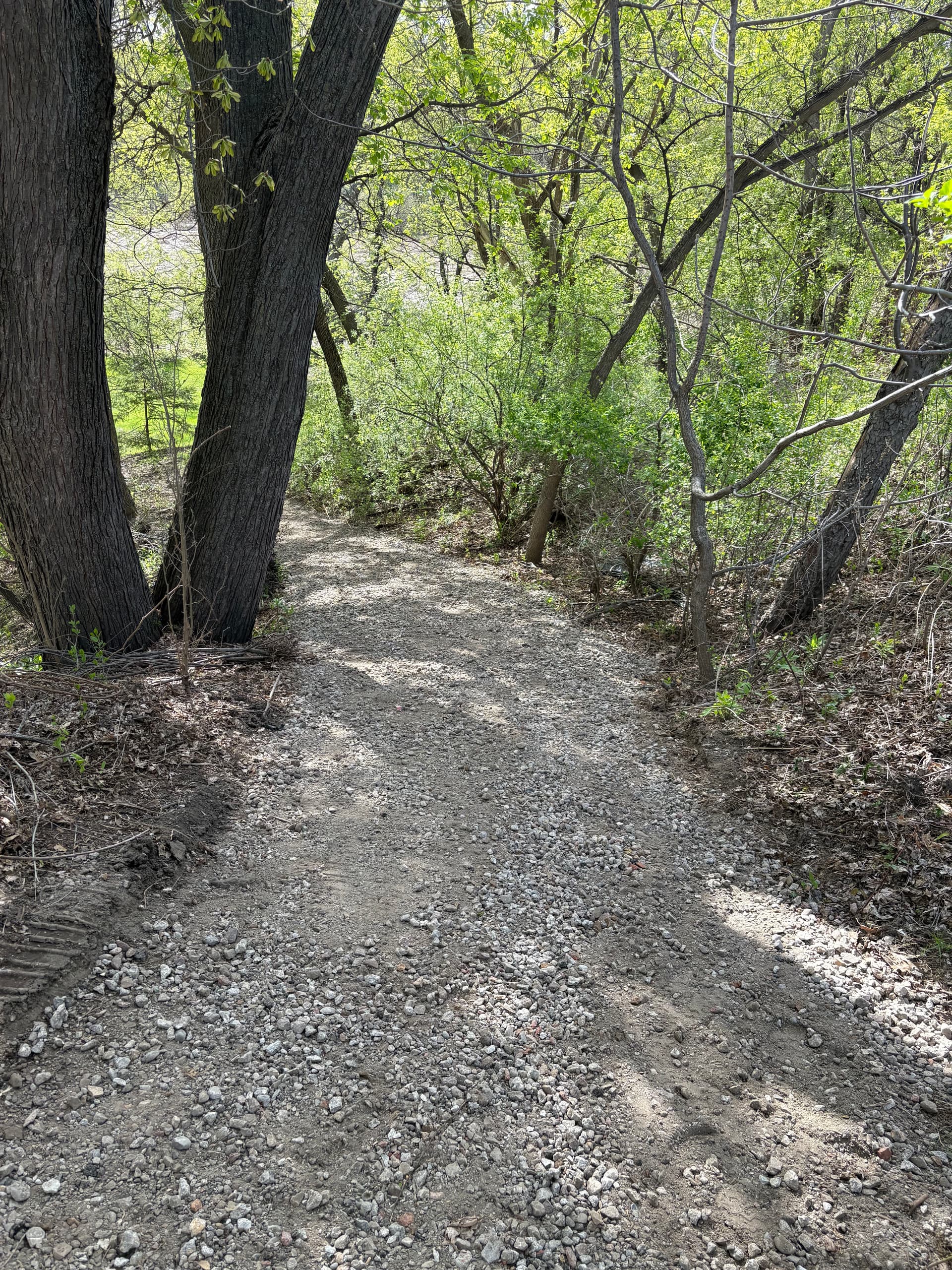 Gallery photos for Class 5 Gravel Path Built for Sloped Yard Access: Image #1