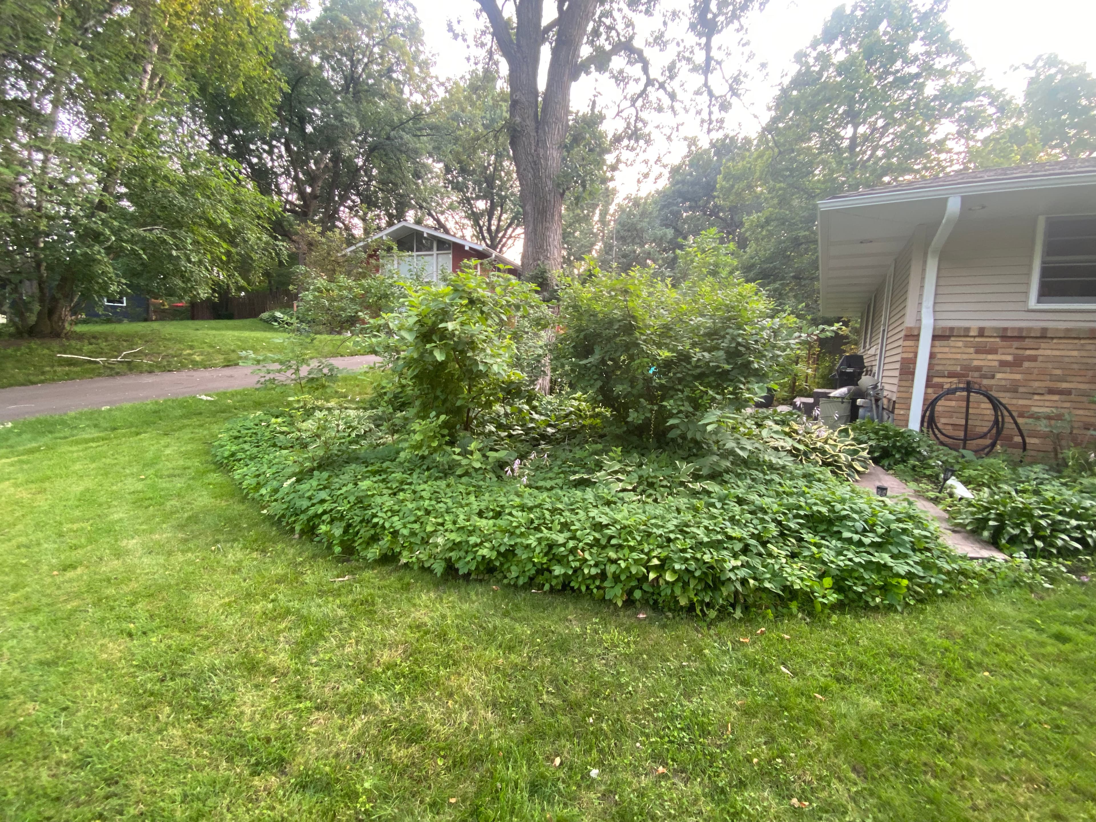 Project Flower Bed Overhaul with Sod Installation image