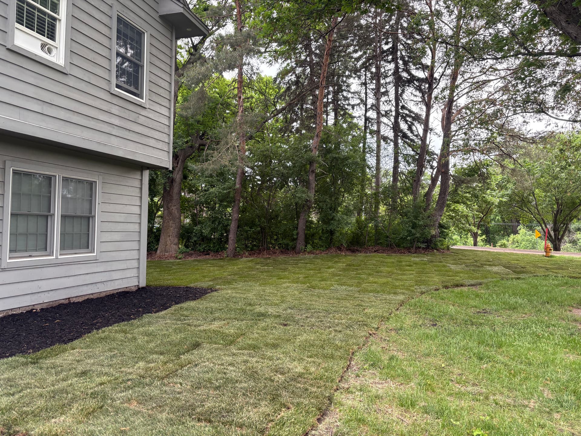 Gallery photos for Fresh Sod, New Edging, and Black Mulch for a Clean Yard: Image #2