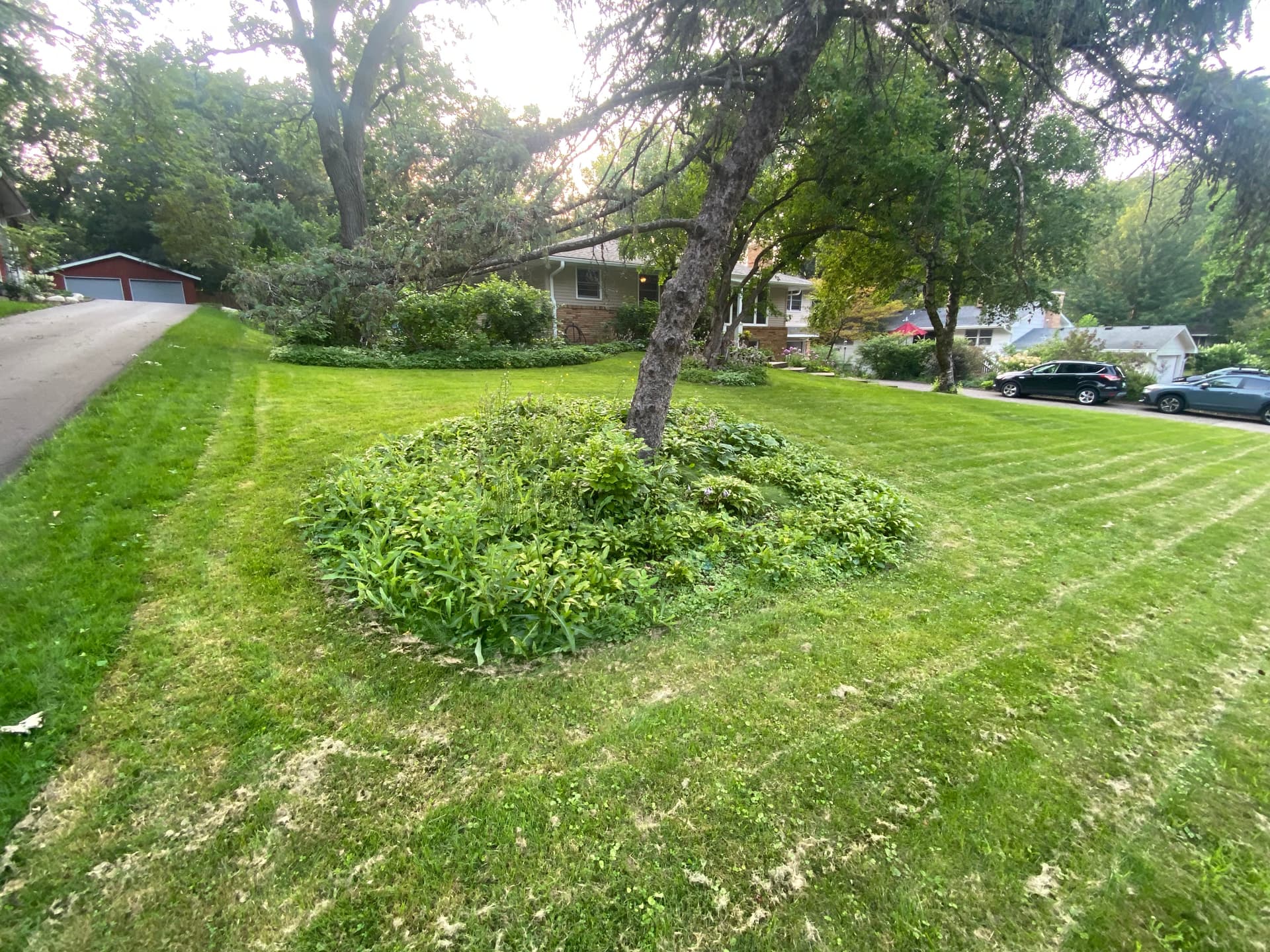 Flower Bed Overhaul with Sod Installation