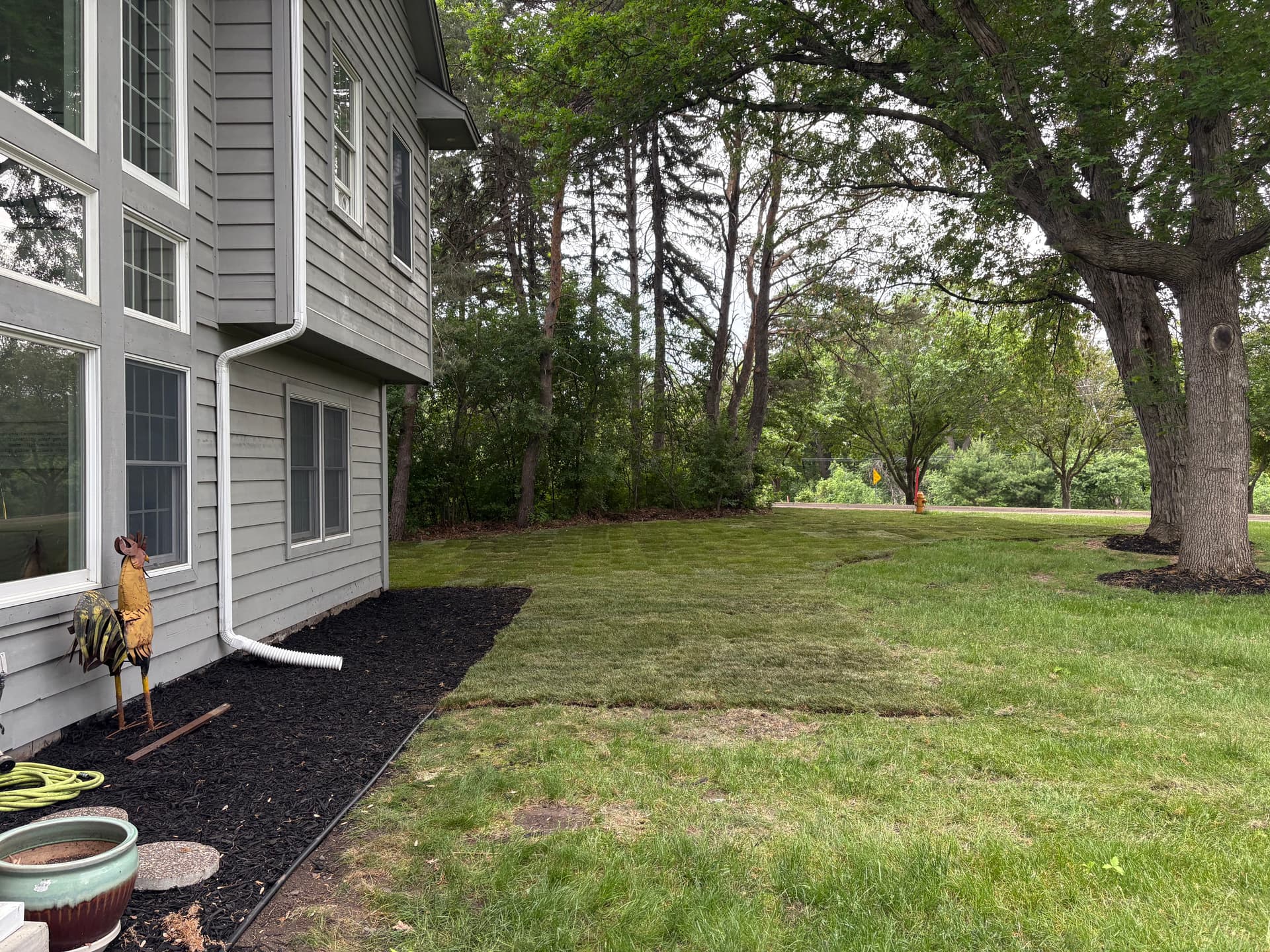 Gallery photos for Fresh Sod, New Edging, and Black Mulch for a Clean Yard: Image #3
