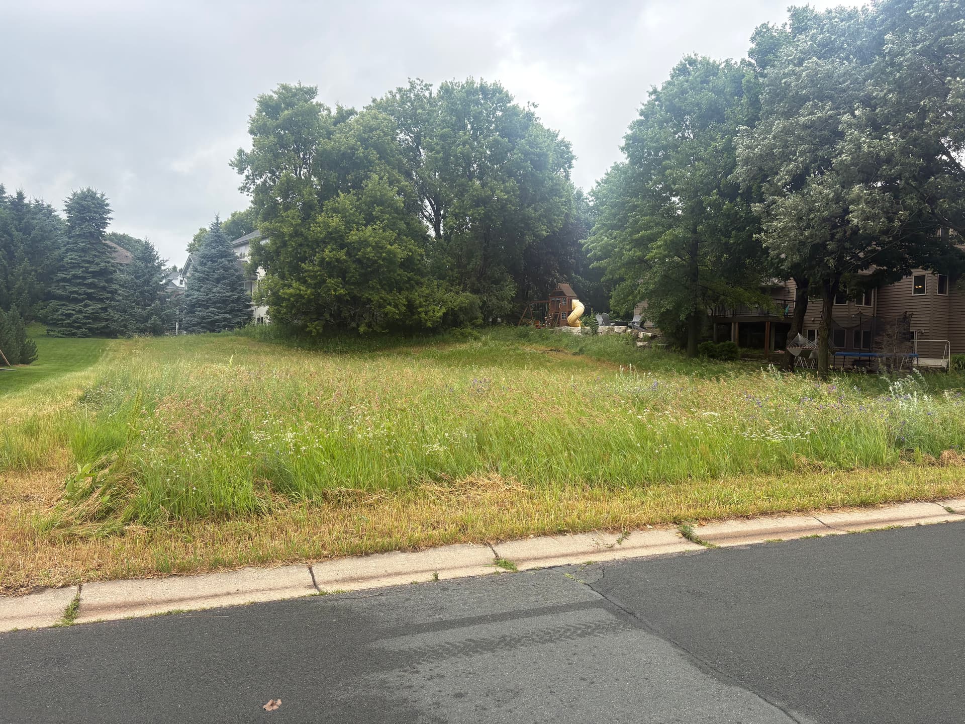 Brush Hogging an Overgrown Vacant Lot Back to Life image