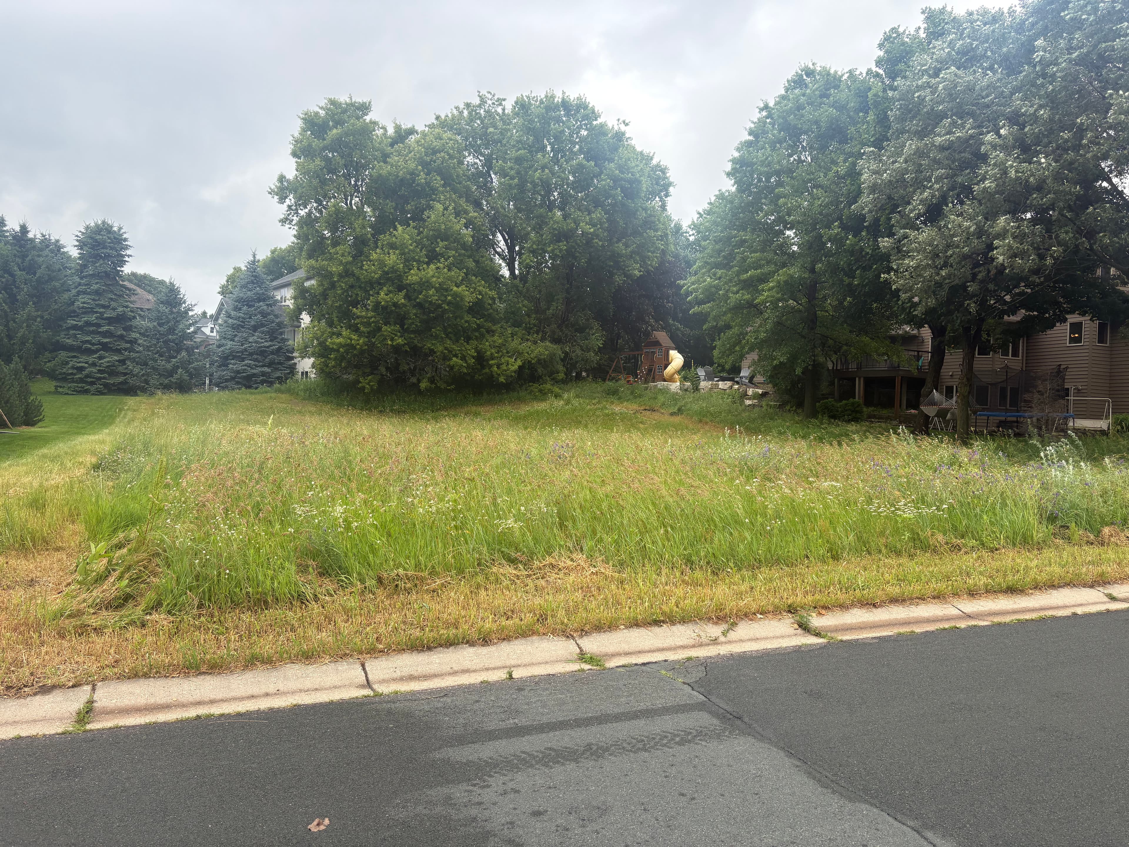 Project Brush Hogging an Overgrown Vacant Lot Back to Life image