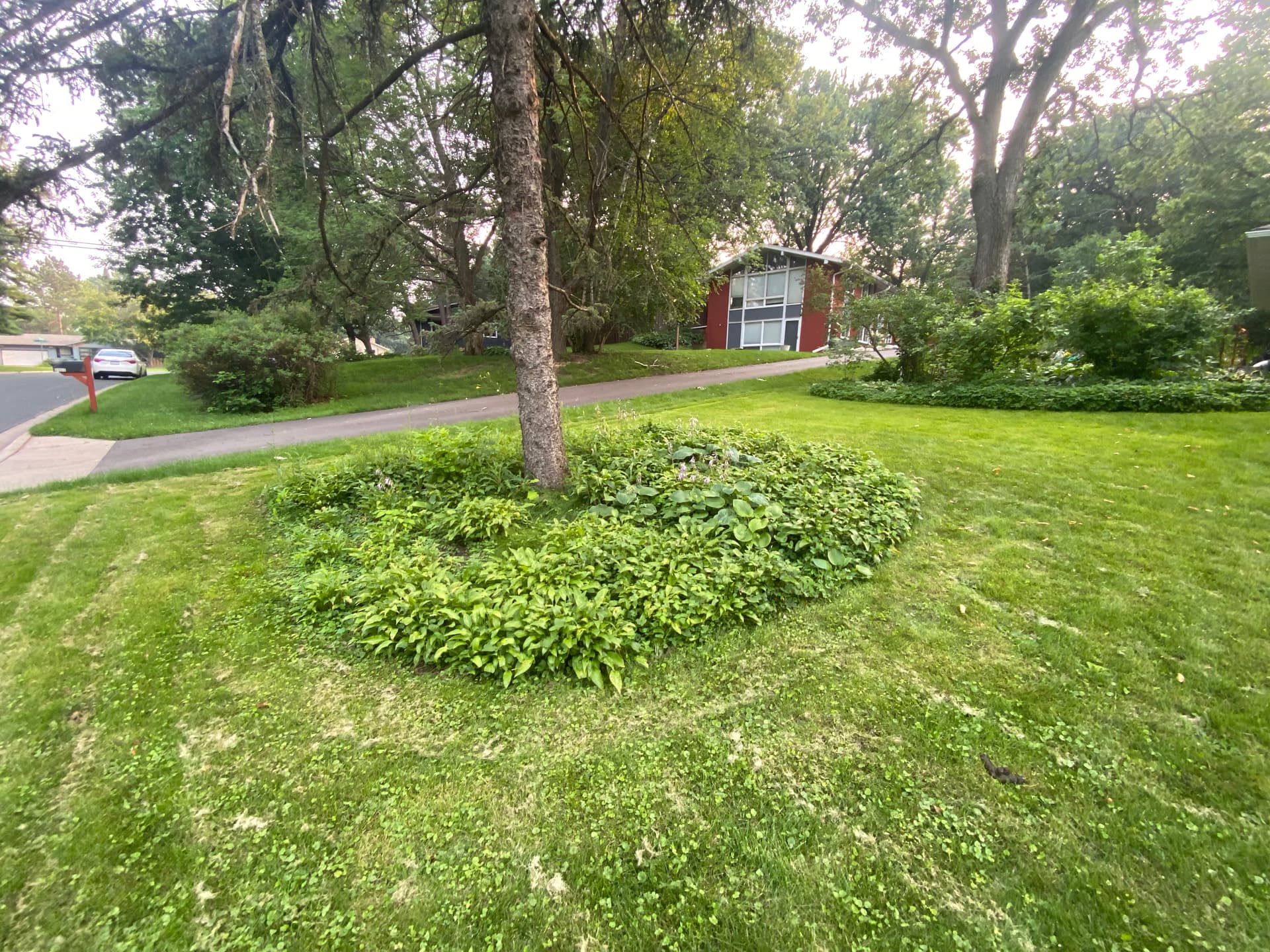 Flower Bed Overhaul with Sod Installation