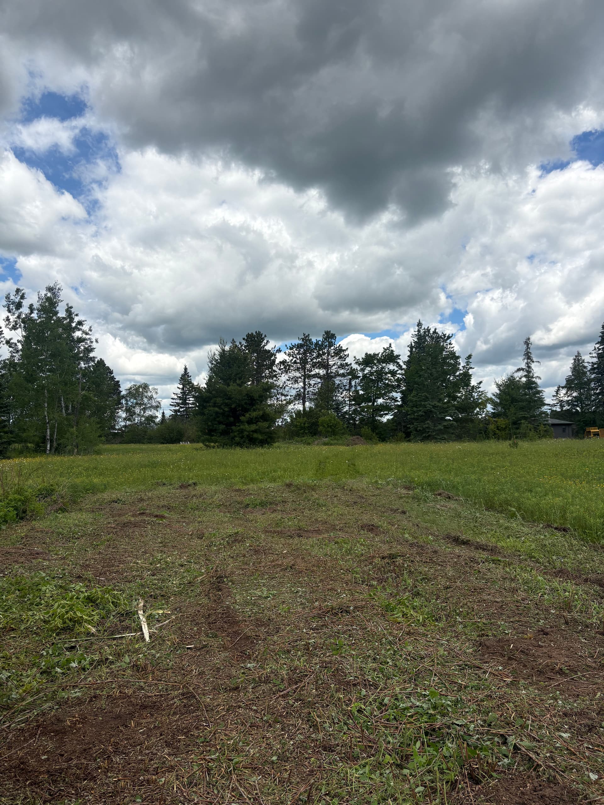 Brush Hogging Clears Thick Overgrowth and Opens Up Land