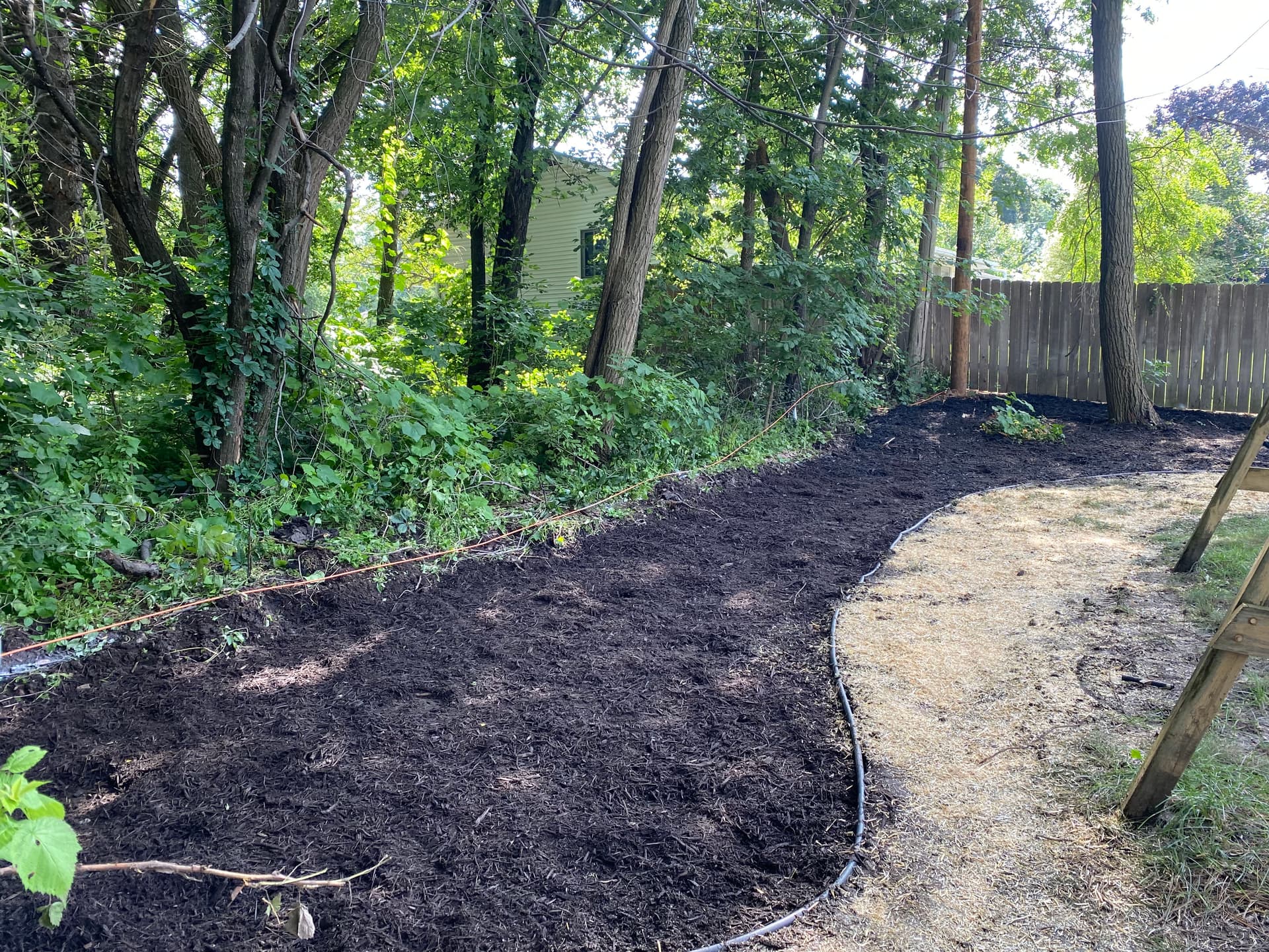 Overgrown Flower Beds Cleaned Out and Mulched Fresh image