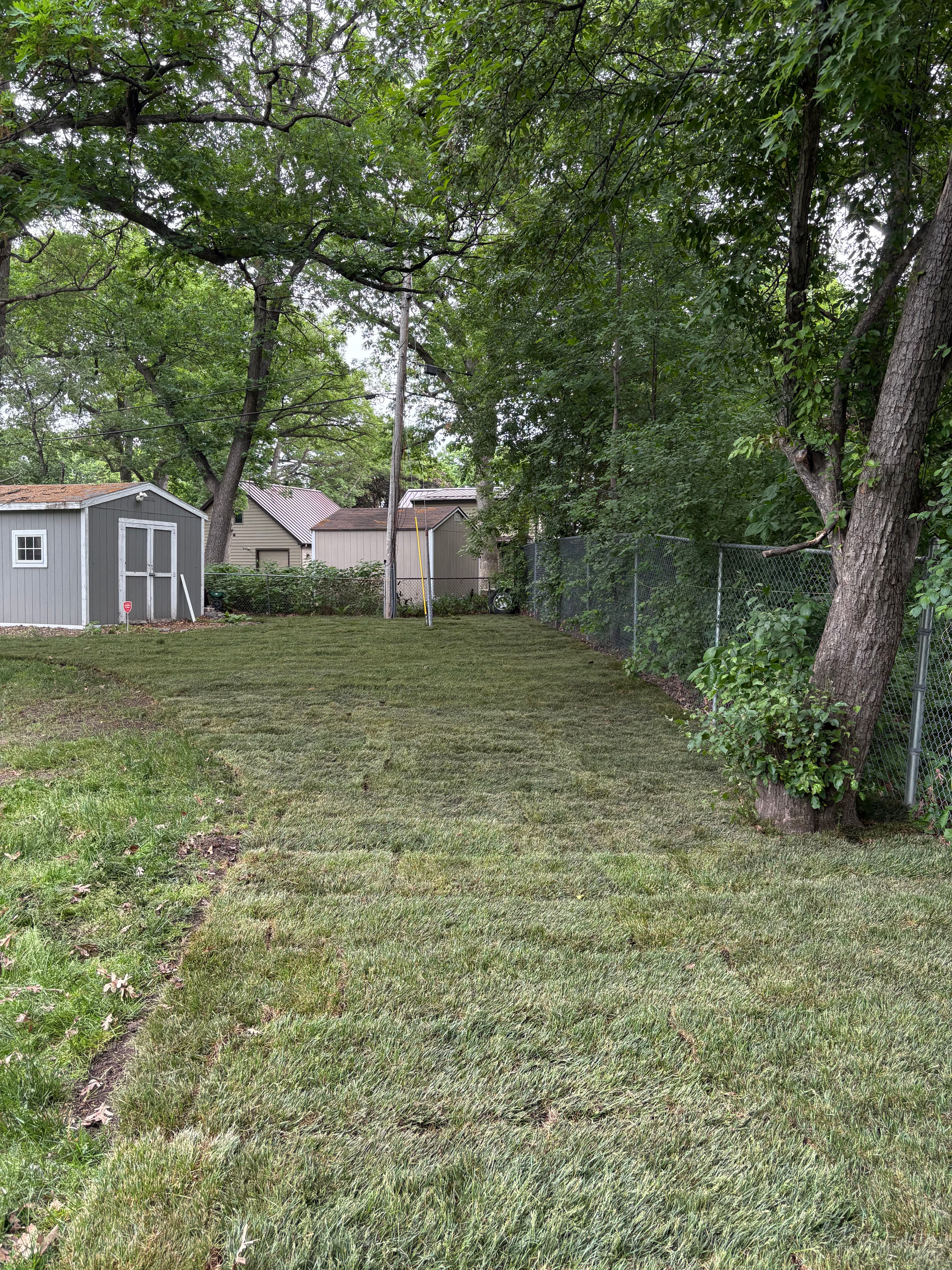 Project Fresh Sod, New Edging, and Black Mulch for a Clean Yard image