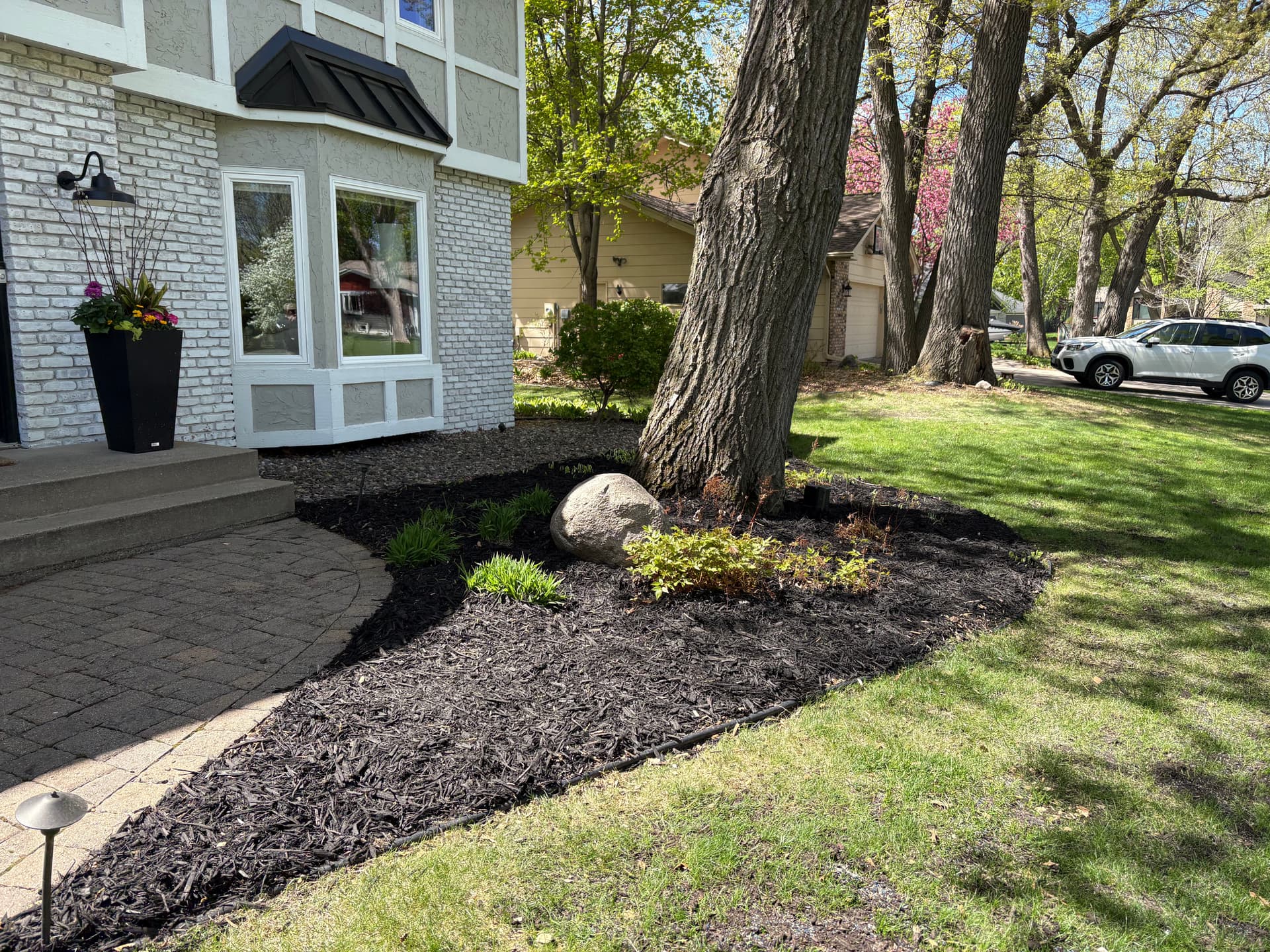 Gallery photos for Black Mulch Makes a Bigger Difference Than You'd Think: Image #1