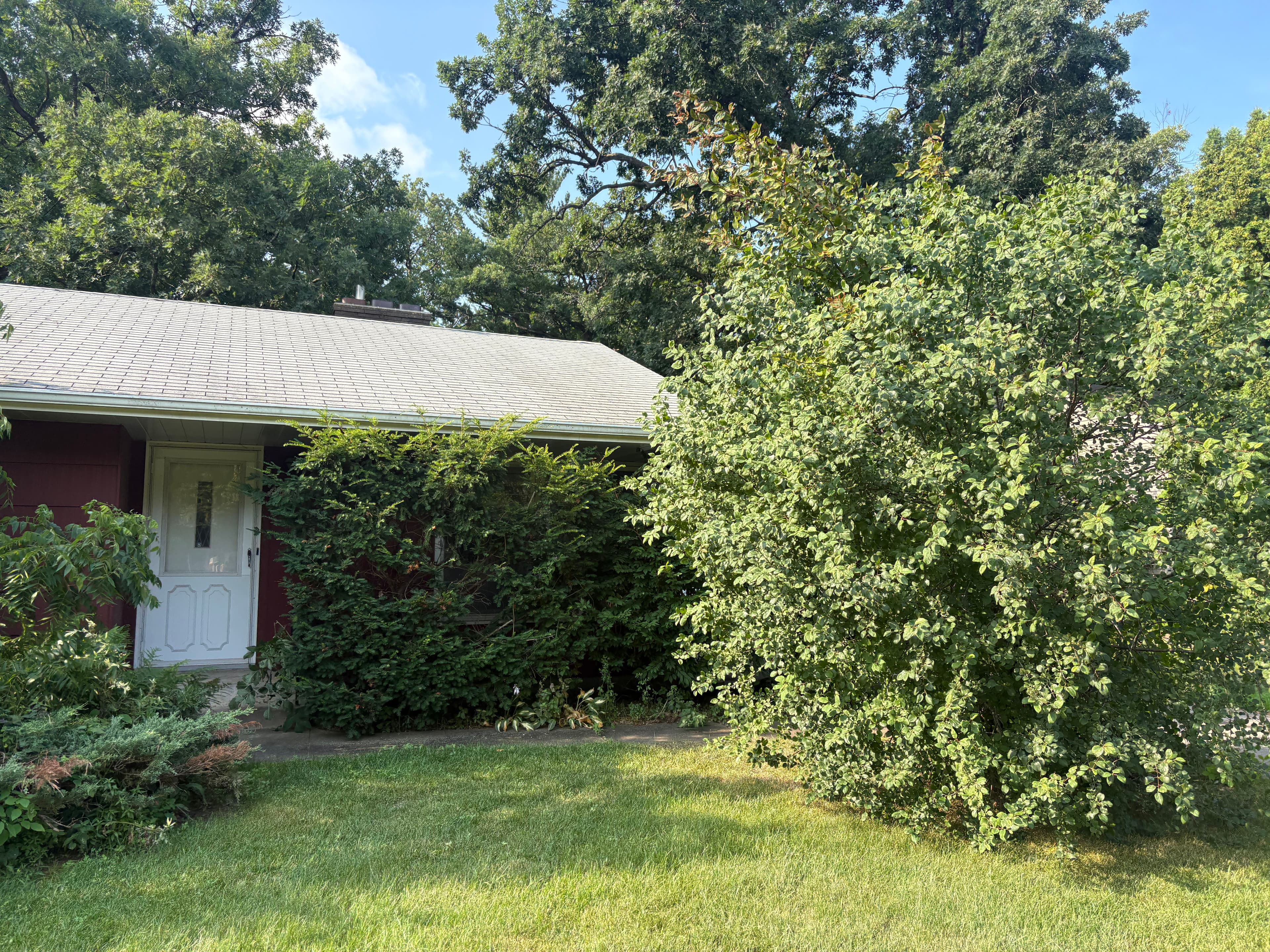 Project Front Yard Cleanup and Fresh Mulch That Actually Makes a Difference image