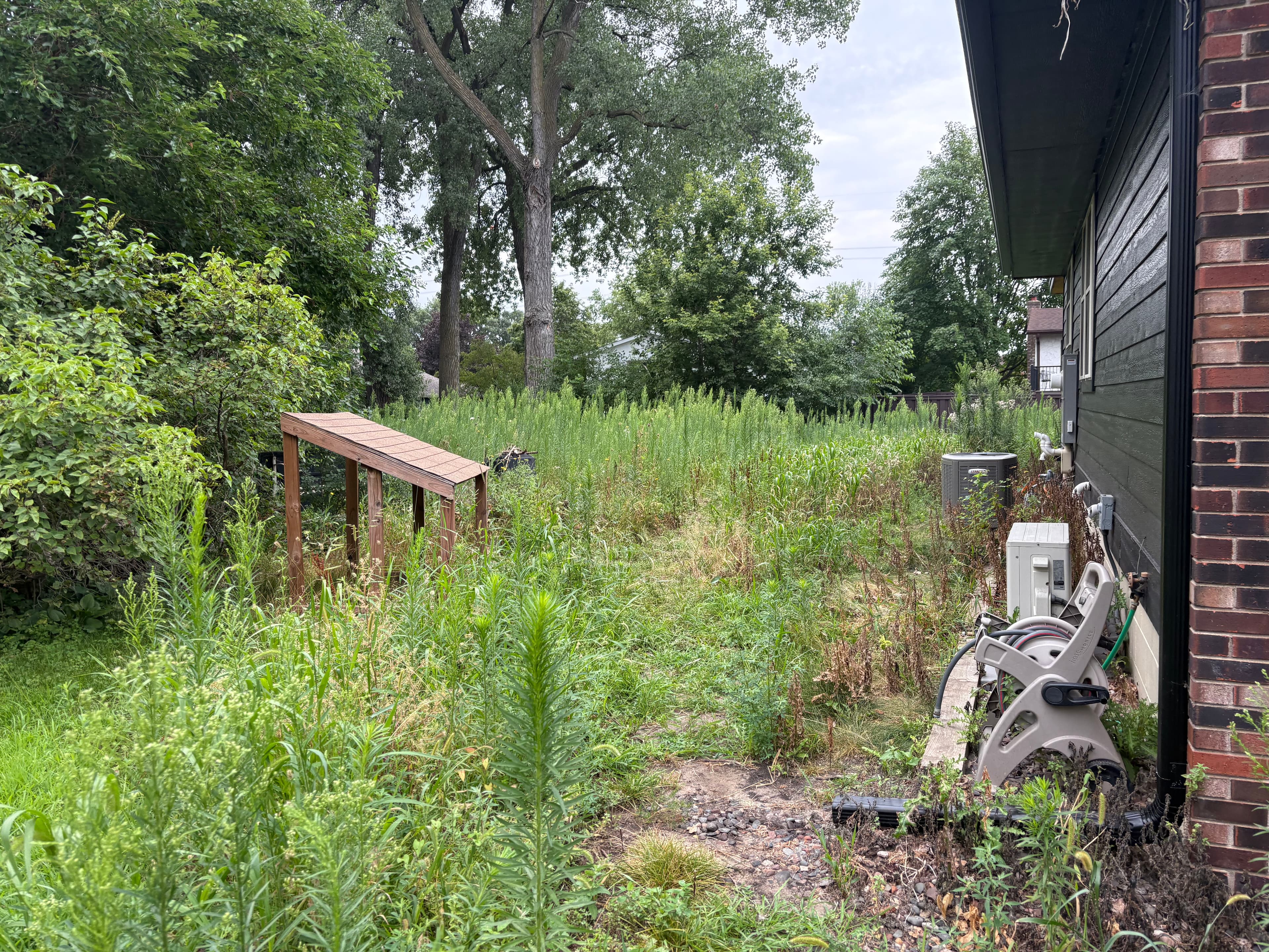 Project Overgrown Backyard Cleared Flat With Brush Hogging image