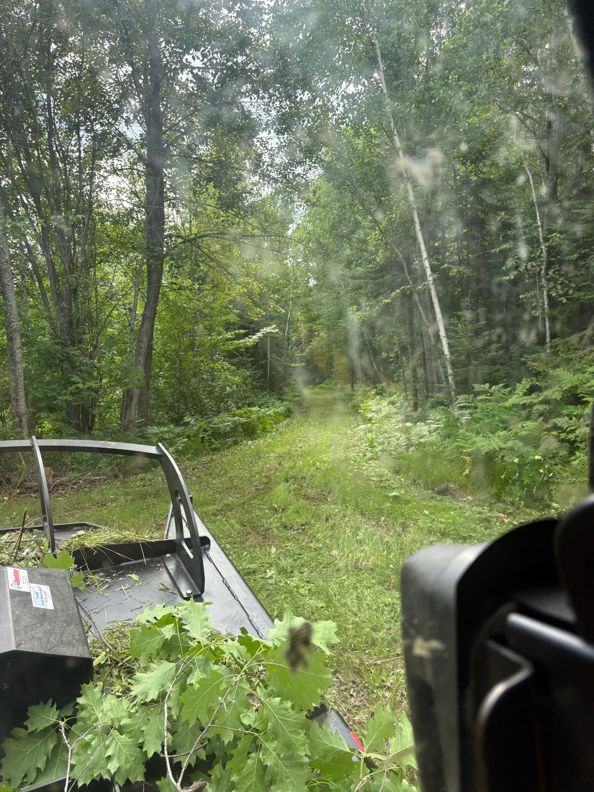 Gallery photos for Overgrown Trail Cleared and Ready to Use Again: Image #1