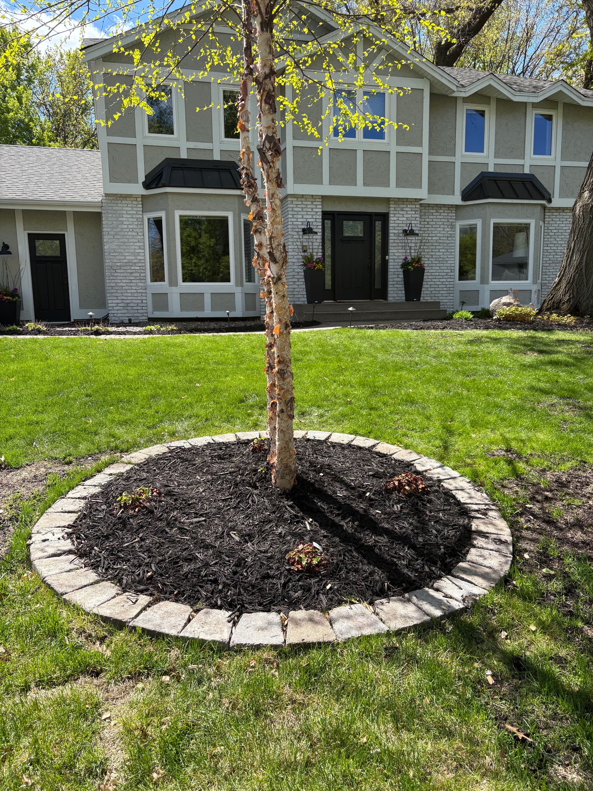 Black Mulch Makes a Bigger Difference Than You'd Think image