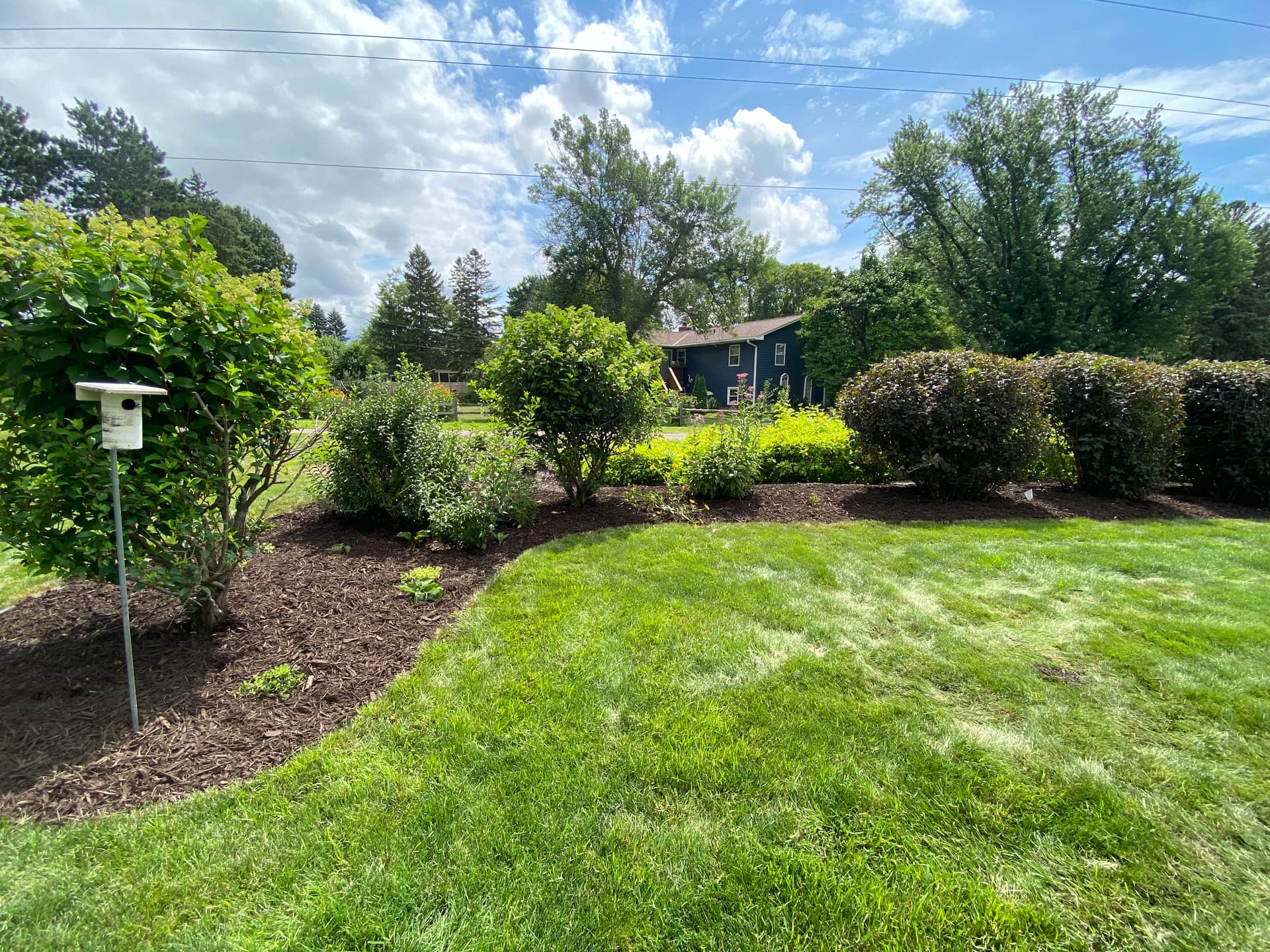 Gallery photos for Revamp Your Outdoor Spaces with Our Lawn Care and Mulch Installation: Image #6