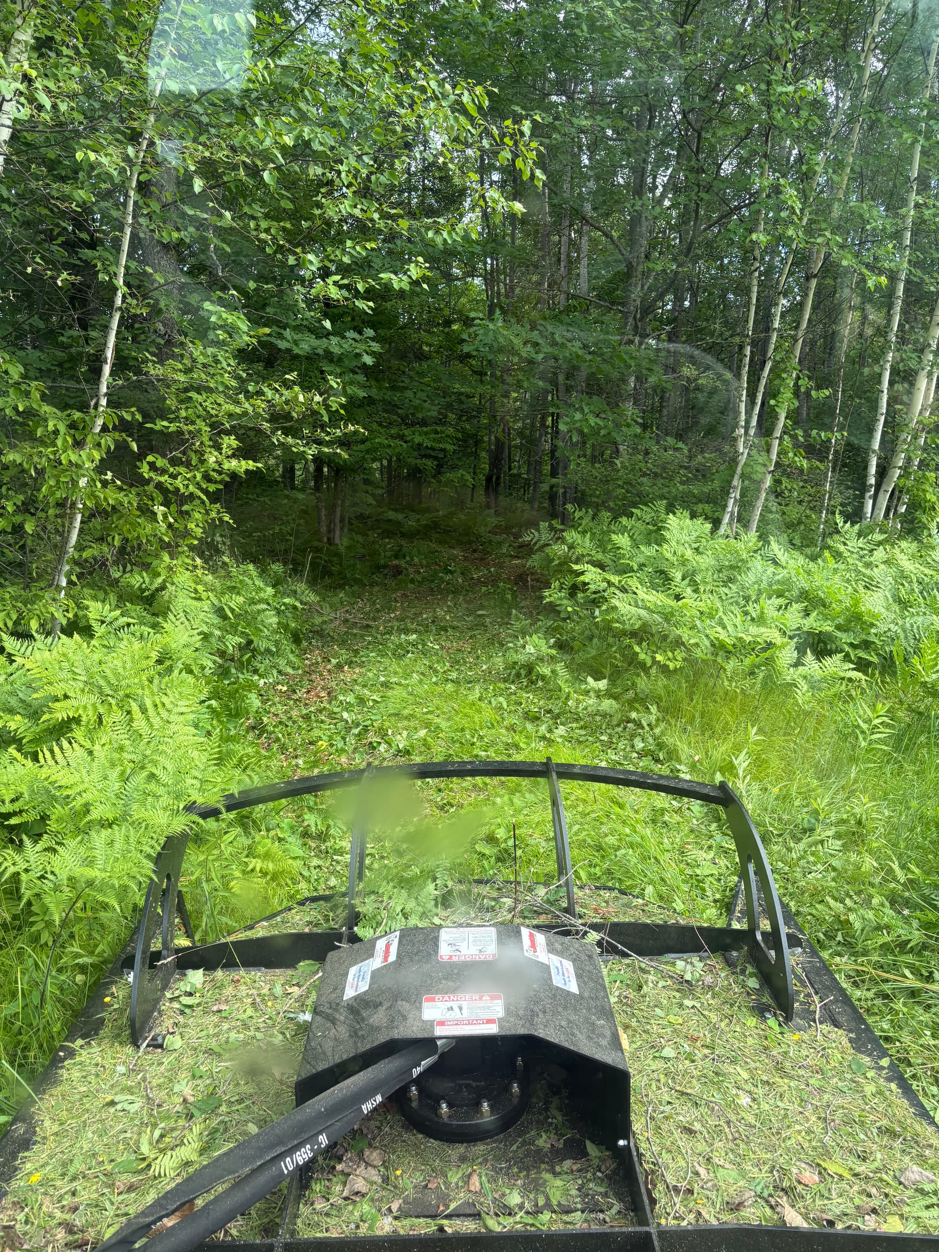 Overgrown Trail Cleared and Ready to Use Again image