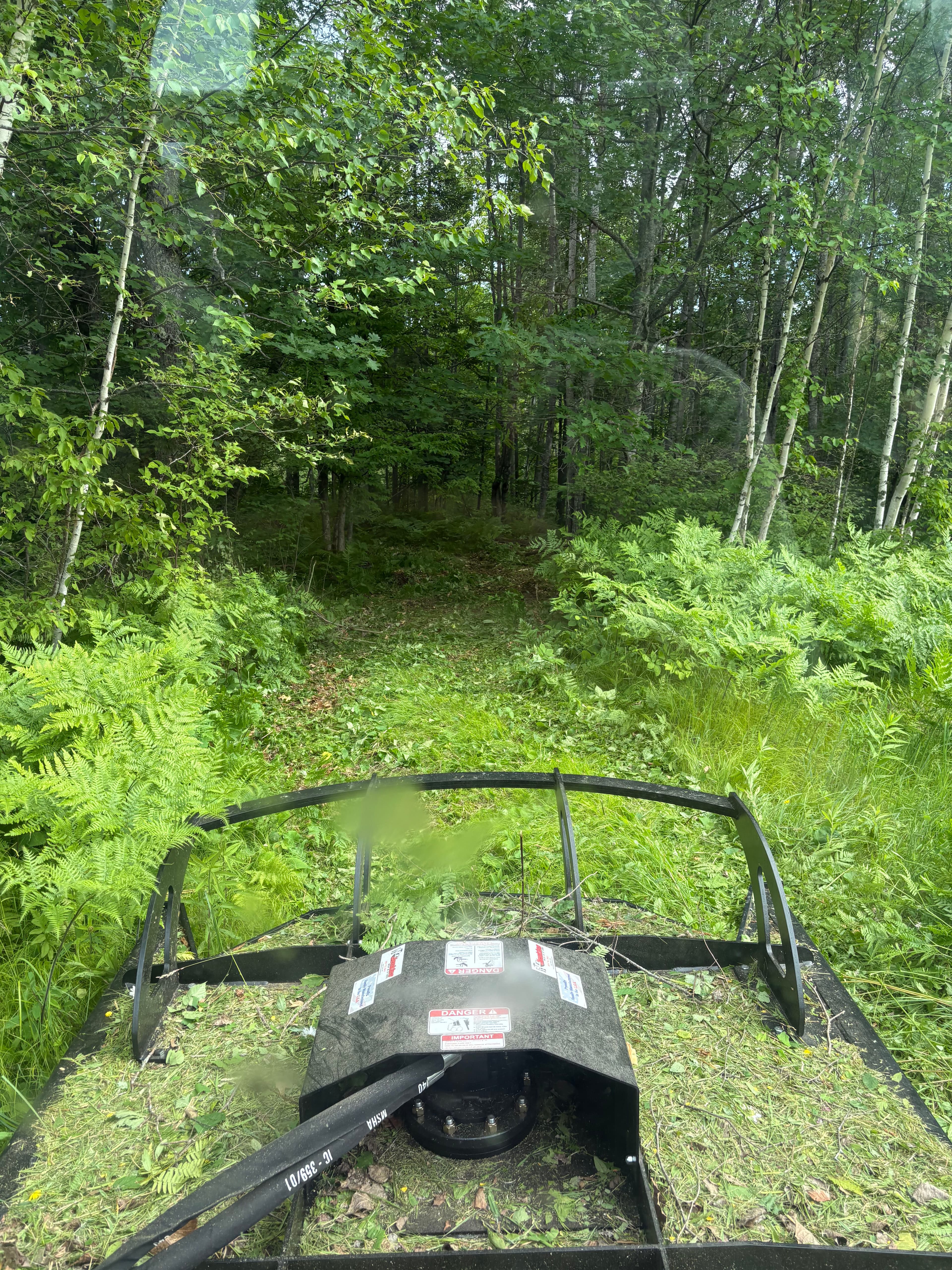 Project Overgrown Trail Cleared and Ready to Use Again image