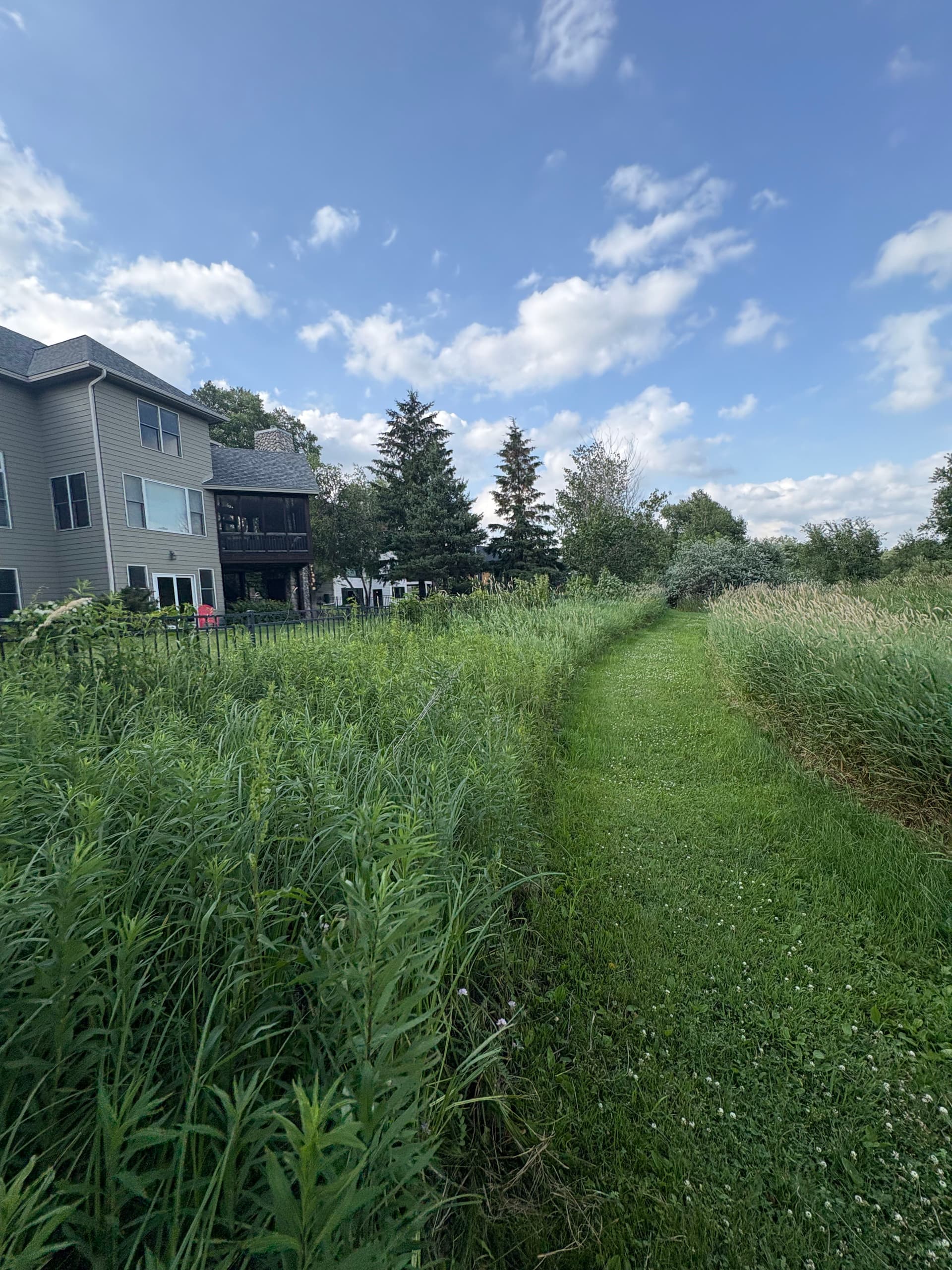 Gallery photos for Brush Hogging a Overgrown Fence Line Back Into Shape: Image #2