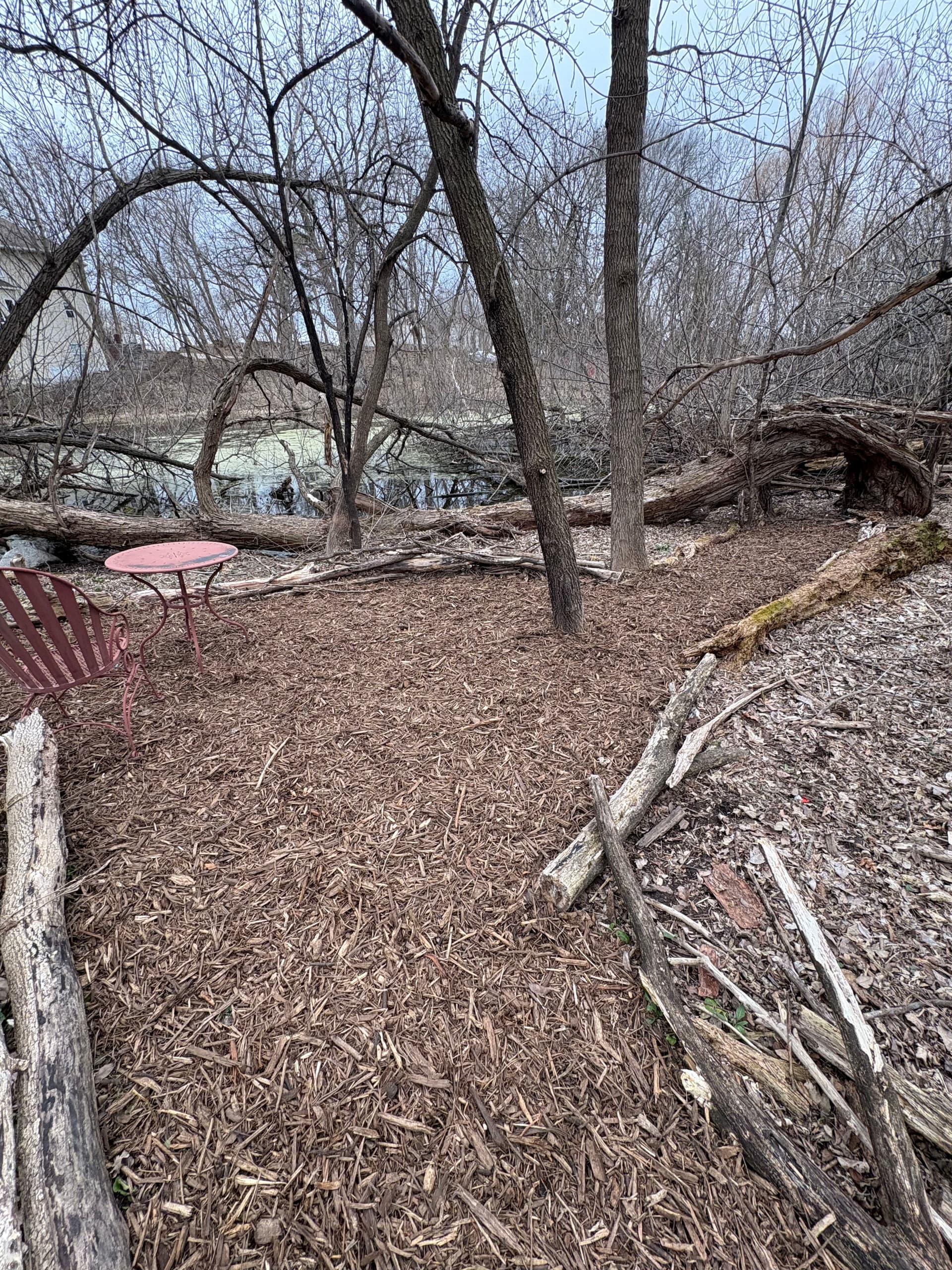 Gallery photos for Gravel Driveway Regrade and Hardwood Mulch Path Install: Image #4