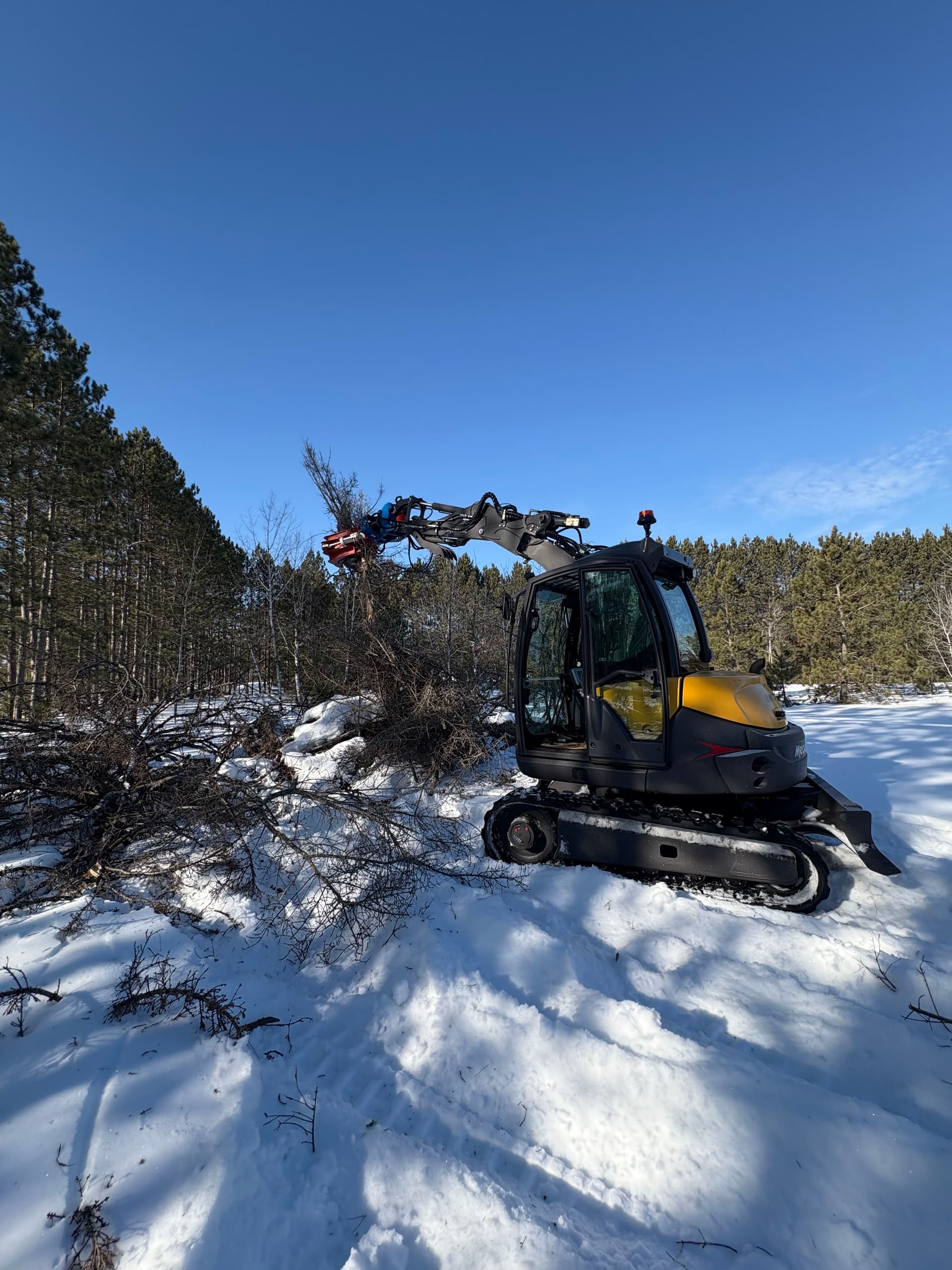Gallery photos for Why a Grapple Makes Land Clearing Way More Efficient: Image #1