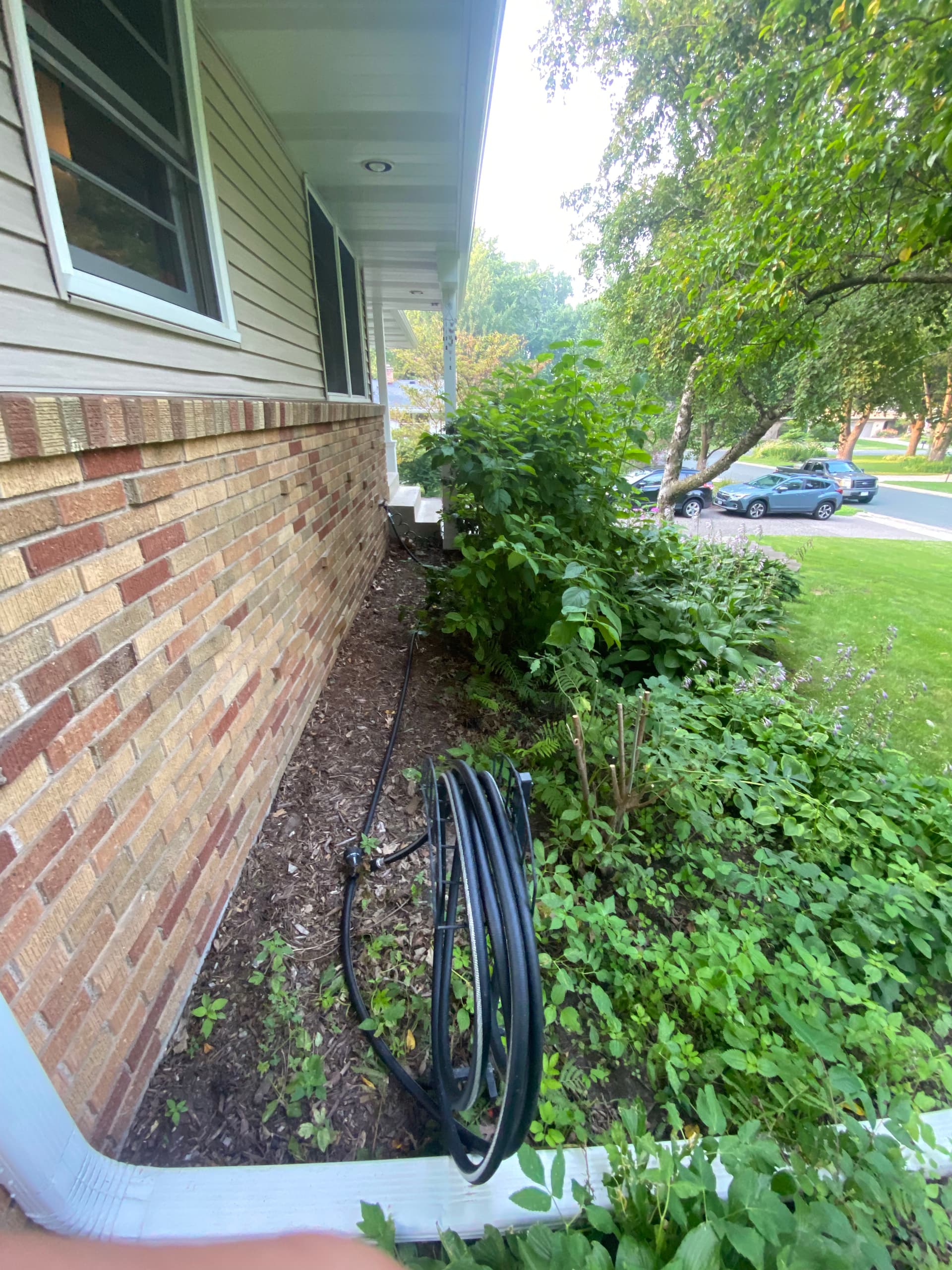 Flower Bed Overhaul with Sod Installation
