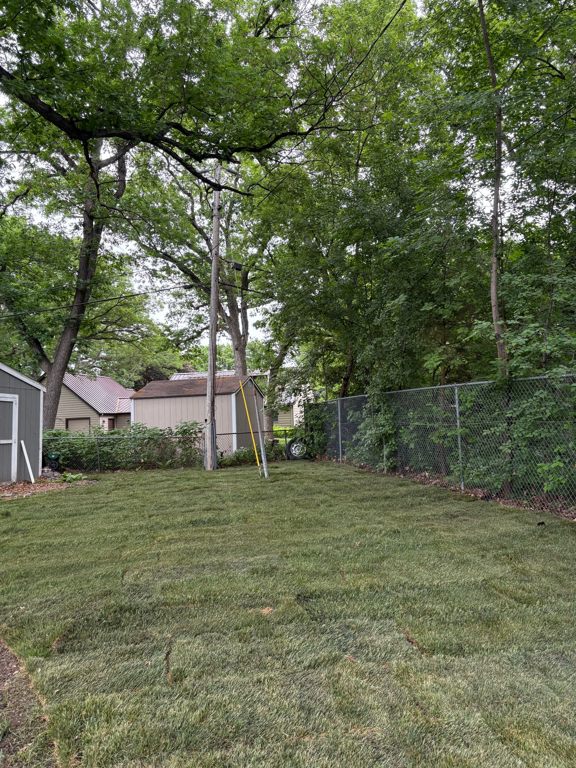 Gallery photos for Fresh Sod, New Edging, and Black Mulch for a Clean Yard: Image #1