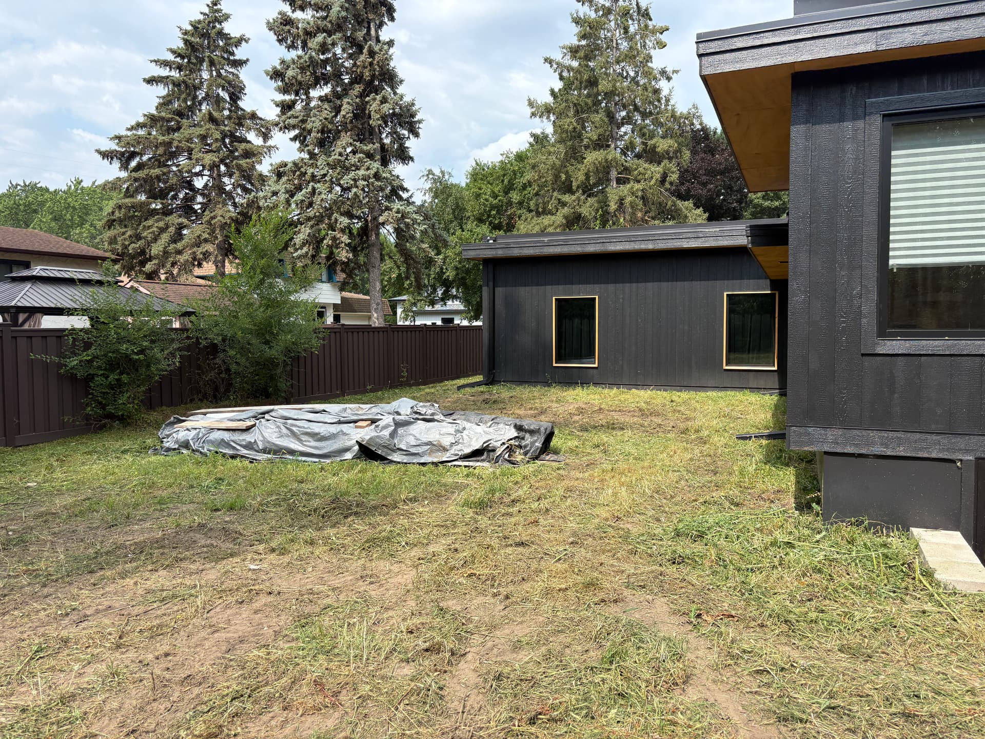 Gallery photos for Overgrown Backyard Cleared Flat With Brush Hogging: Image #3