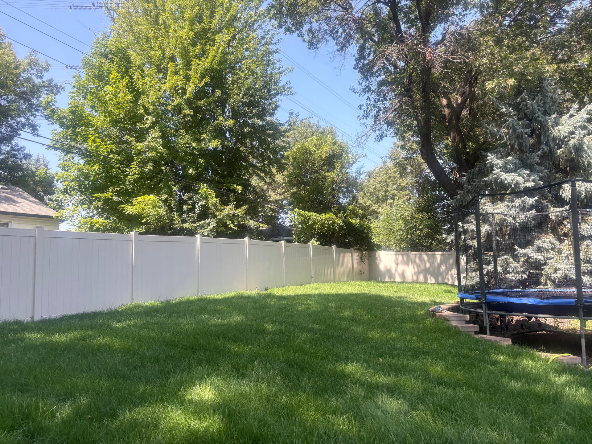 Gallery photos for Backyard Brush Clearing and Sod Installation Done Right: Image #3