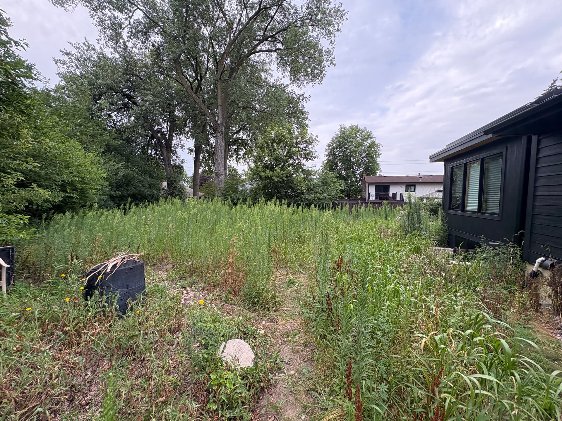 Gallery photos for Overgrown Backyard Cleared Flat With Brush Hogging: Image #2
