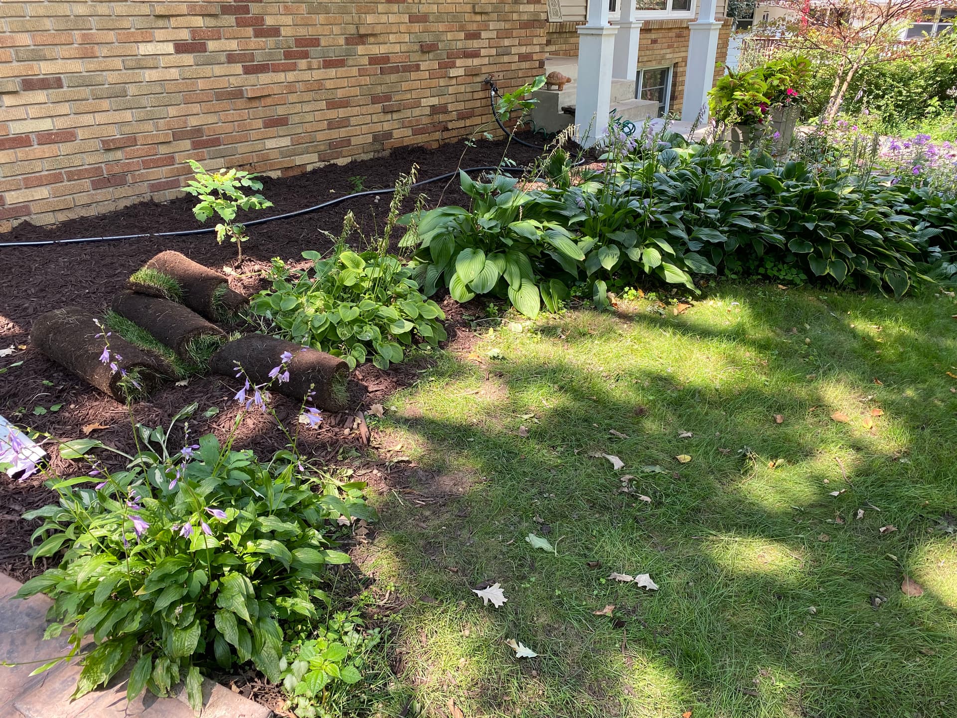 Gallery photos for Flower Bed Overhaul with Sod Installation: Image #6